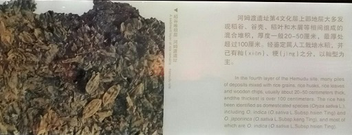 图片4.png 完美体育